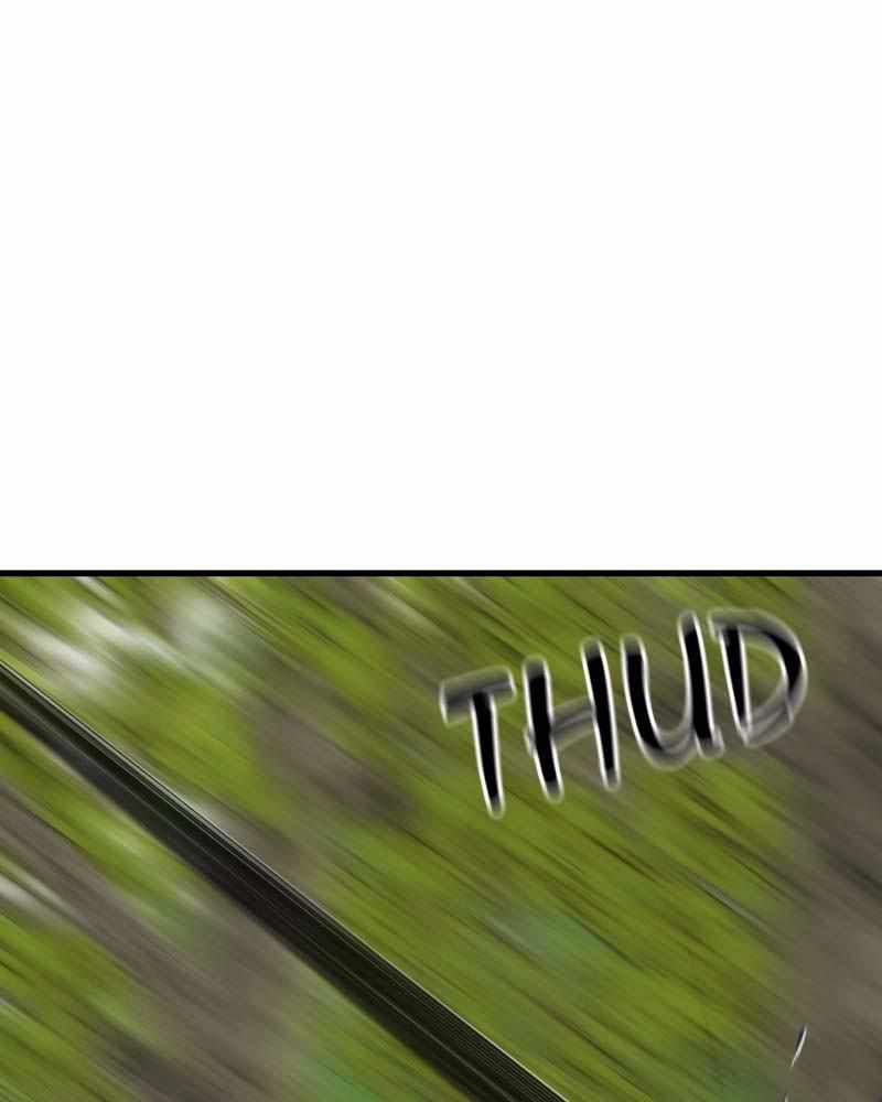 81