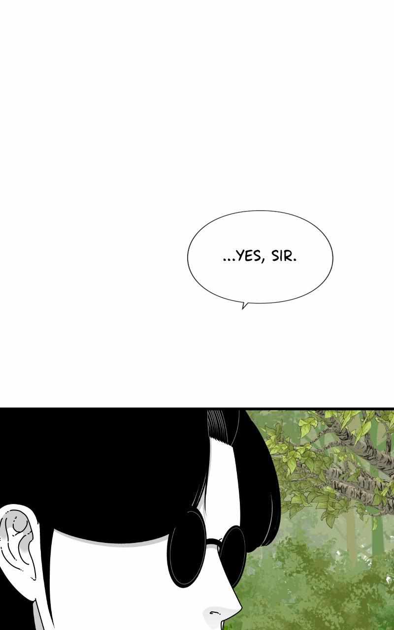 81