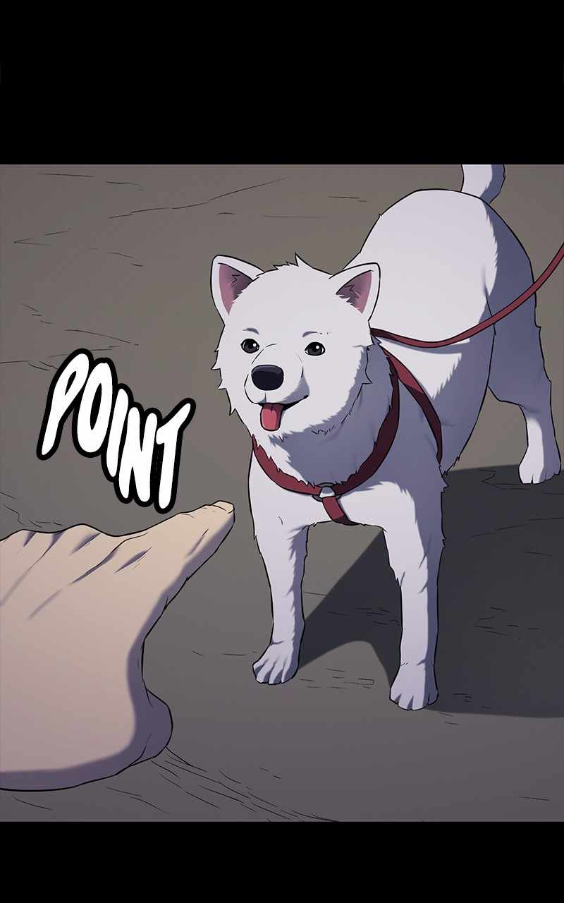 106