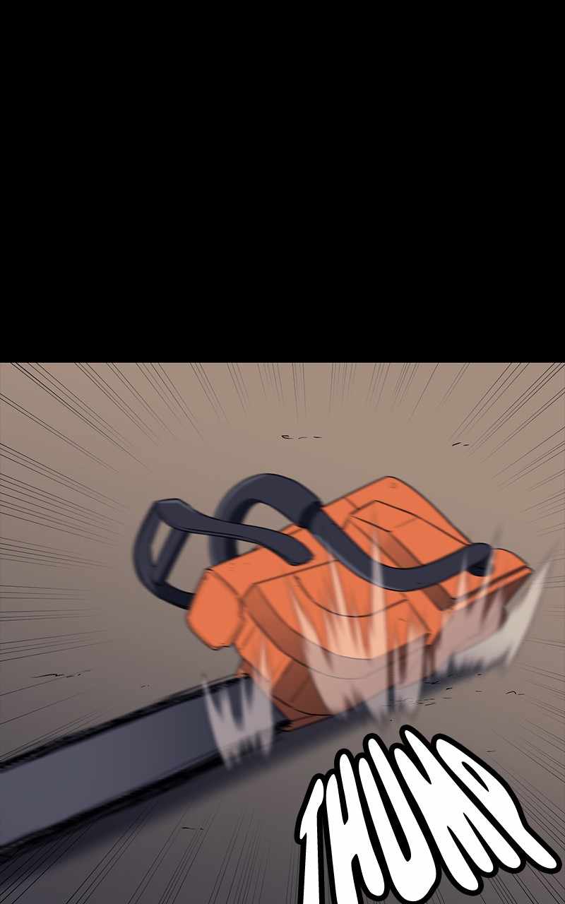 81