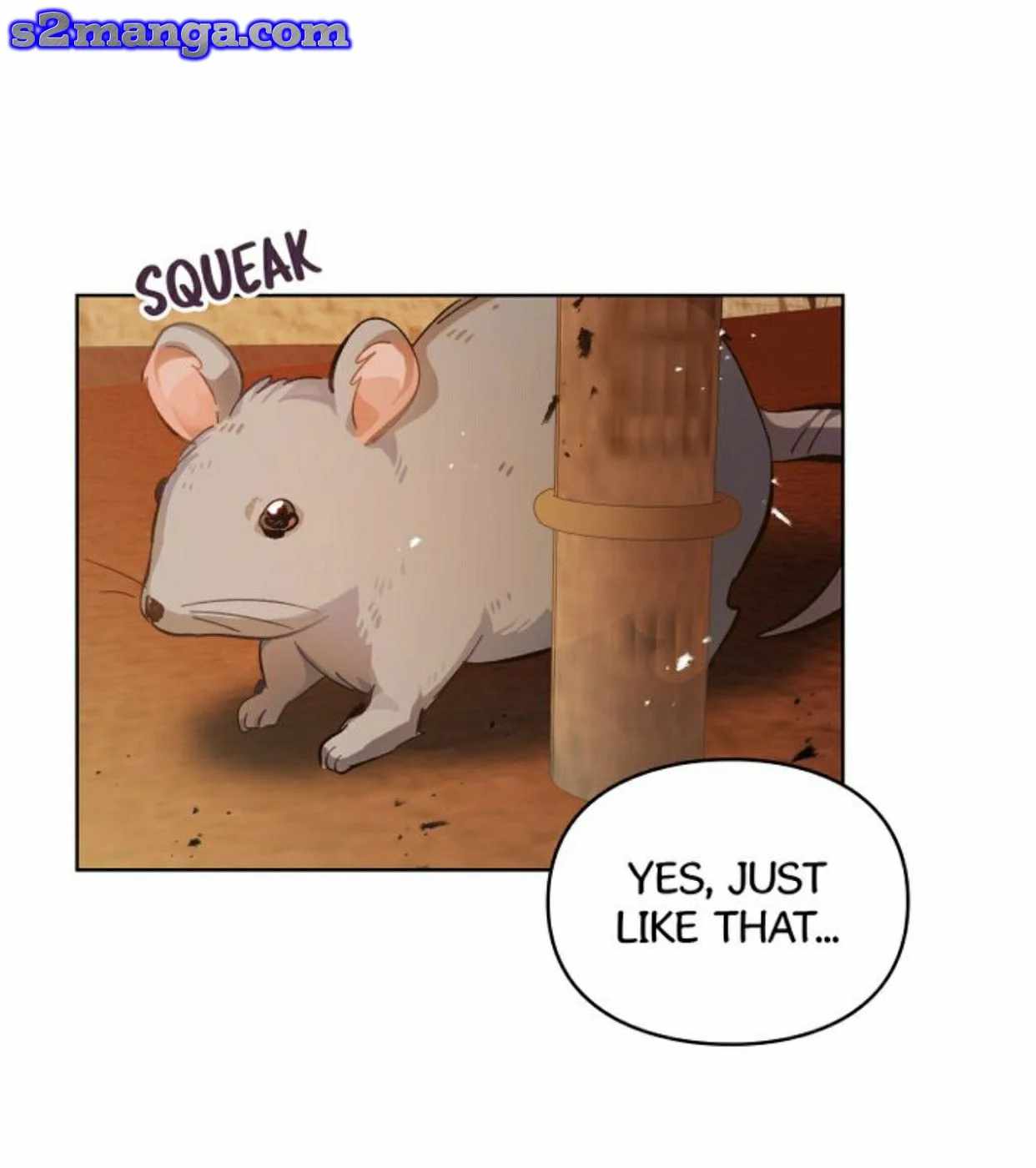 48
