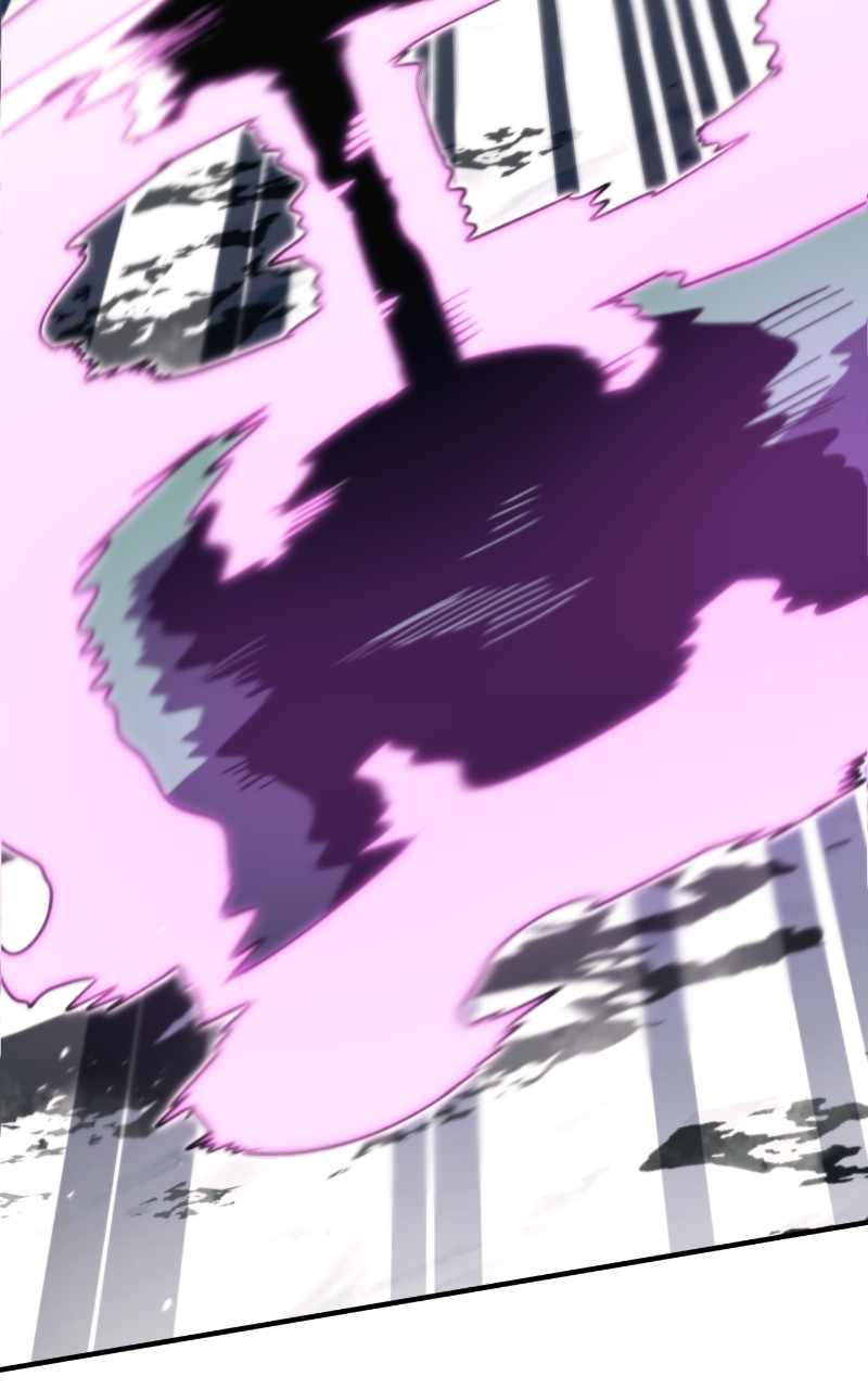 81