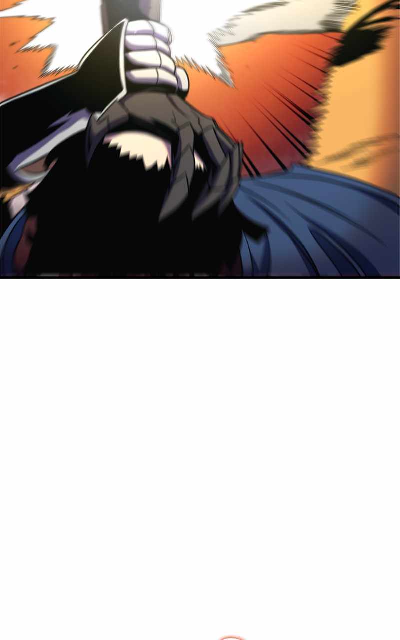 81