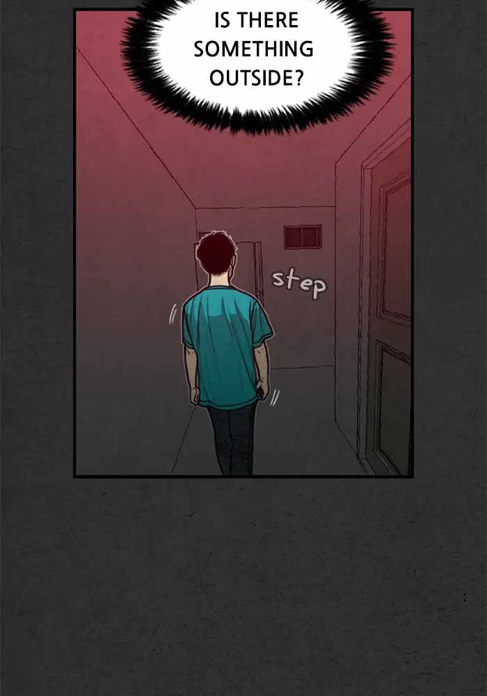 81