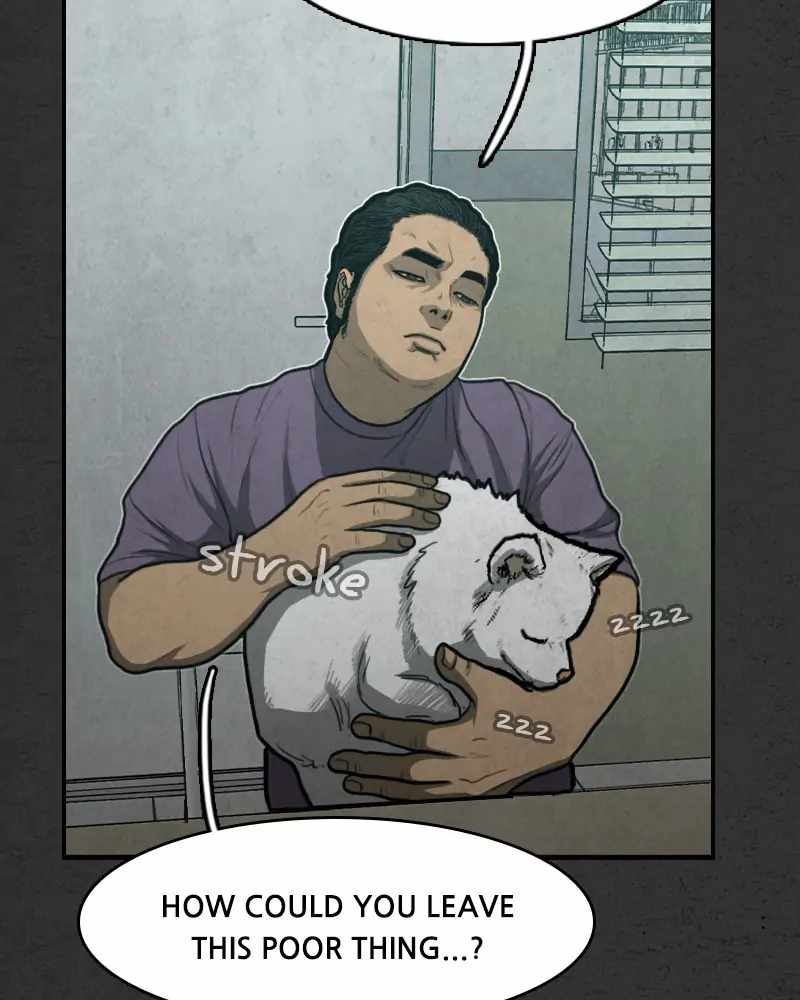 81