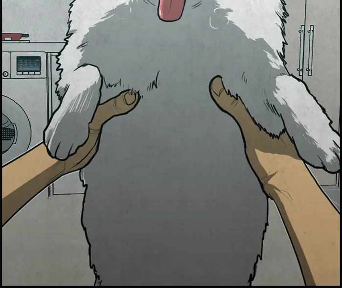96