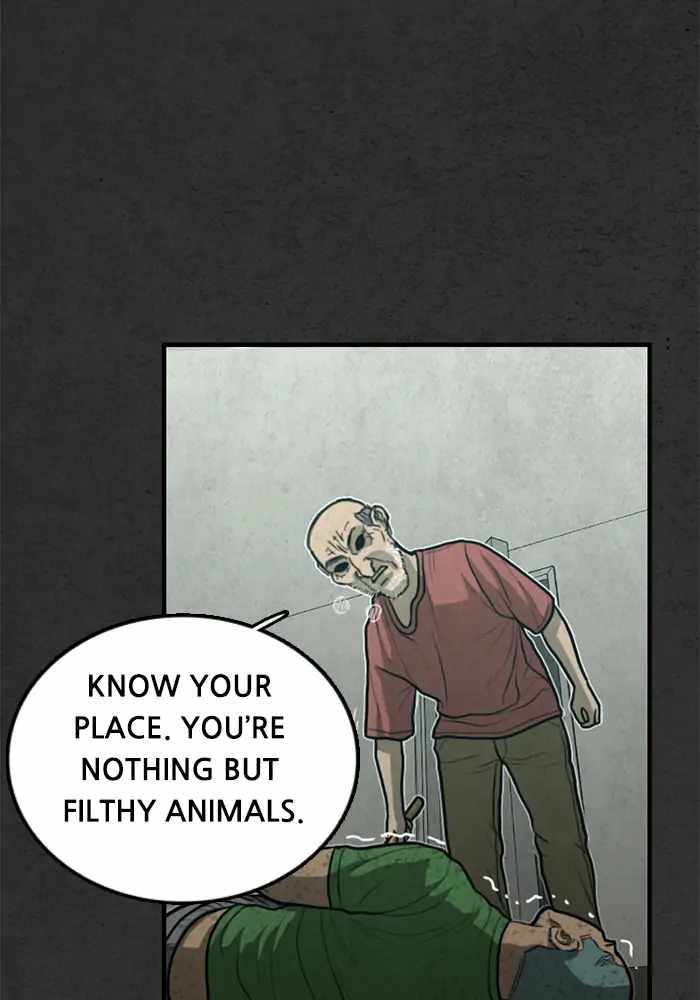 81