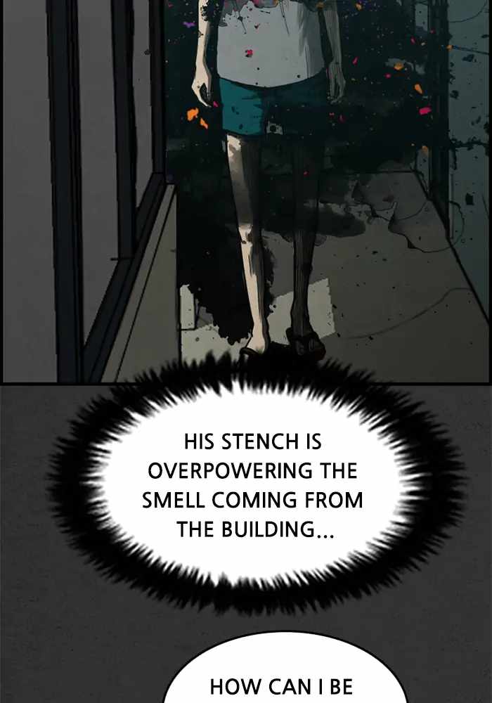 81