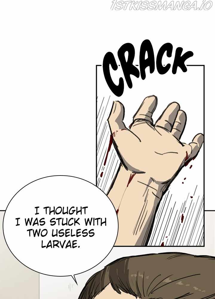 66