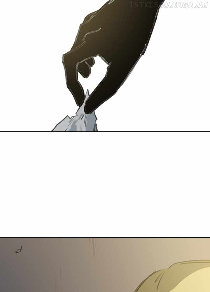 81