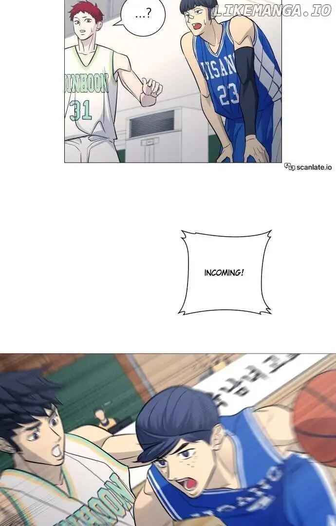 43