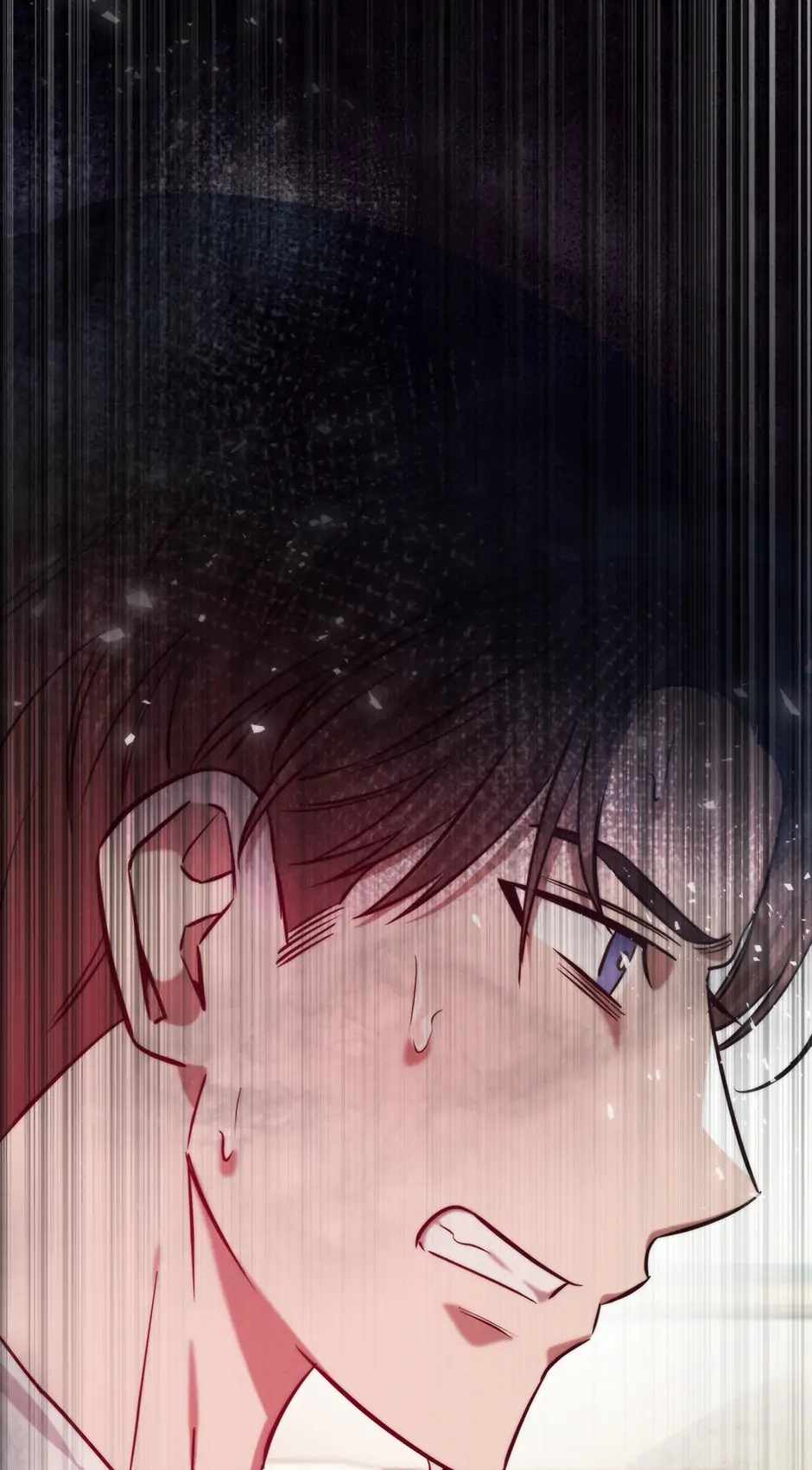 81