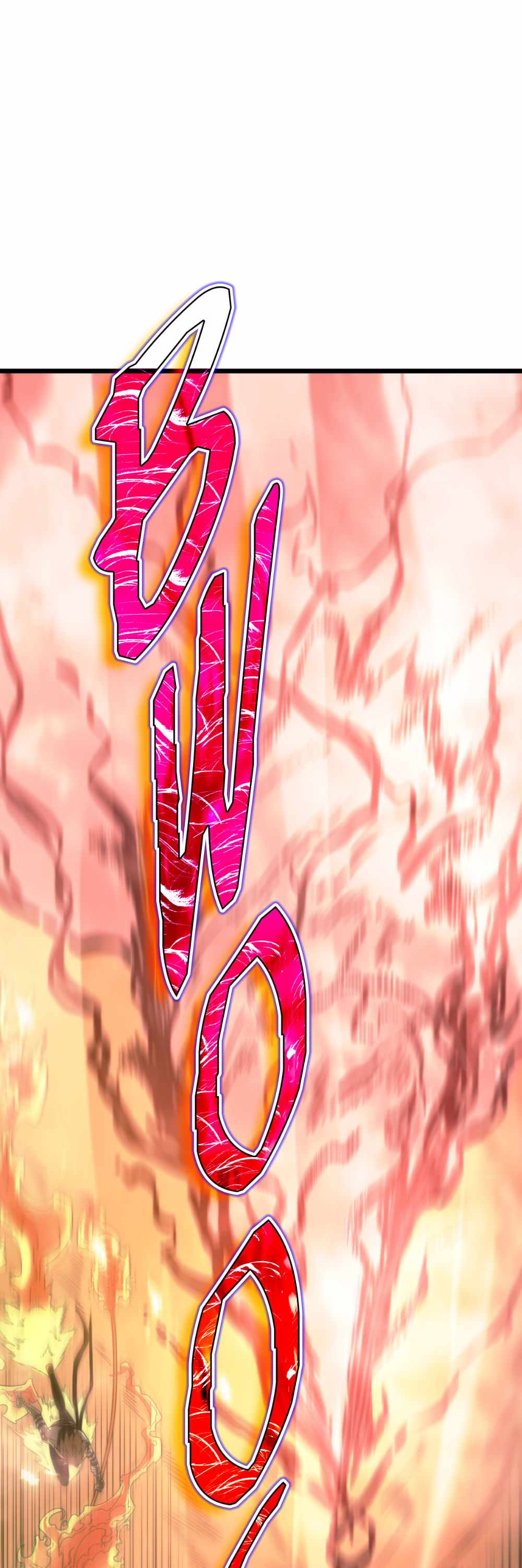 81