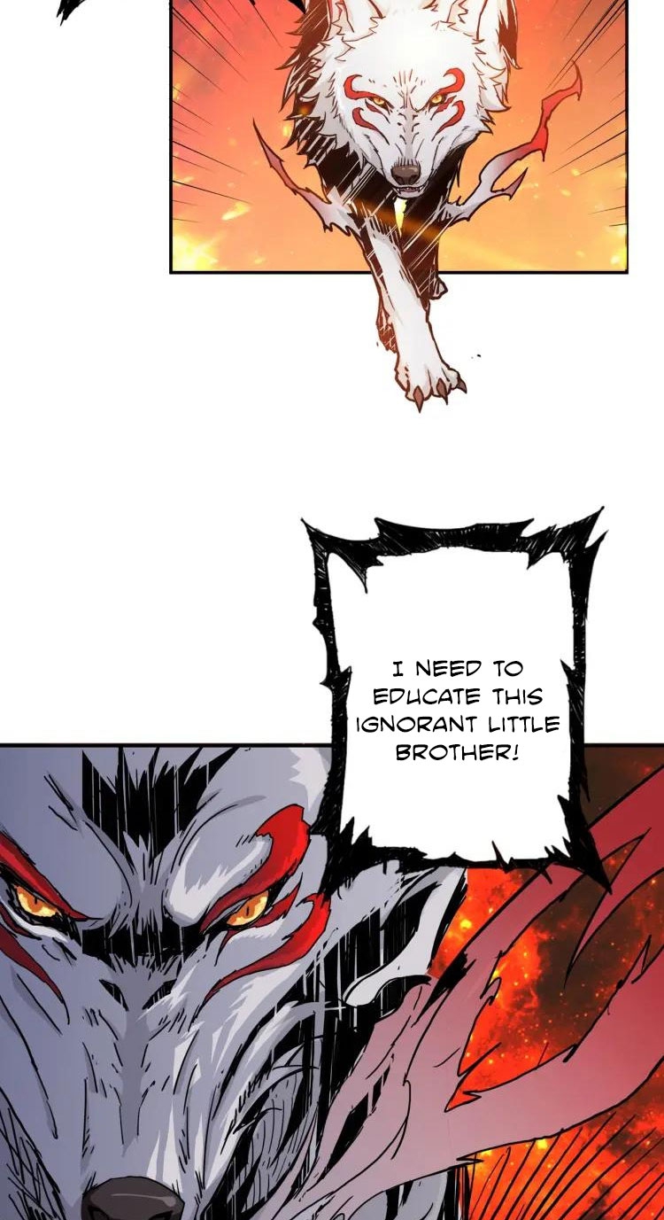 41