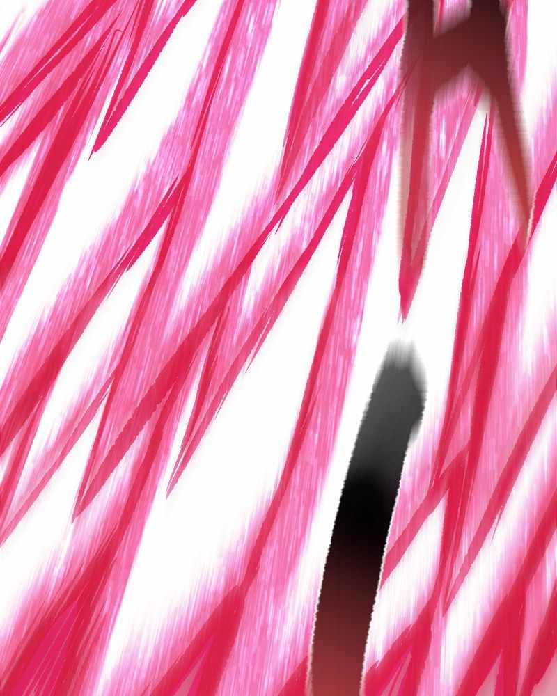 223