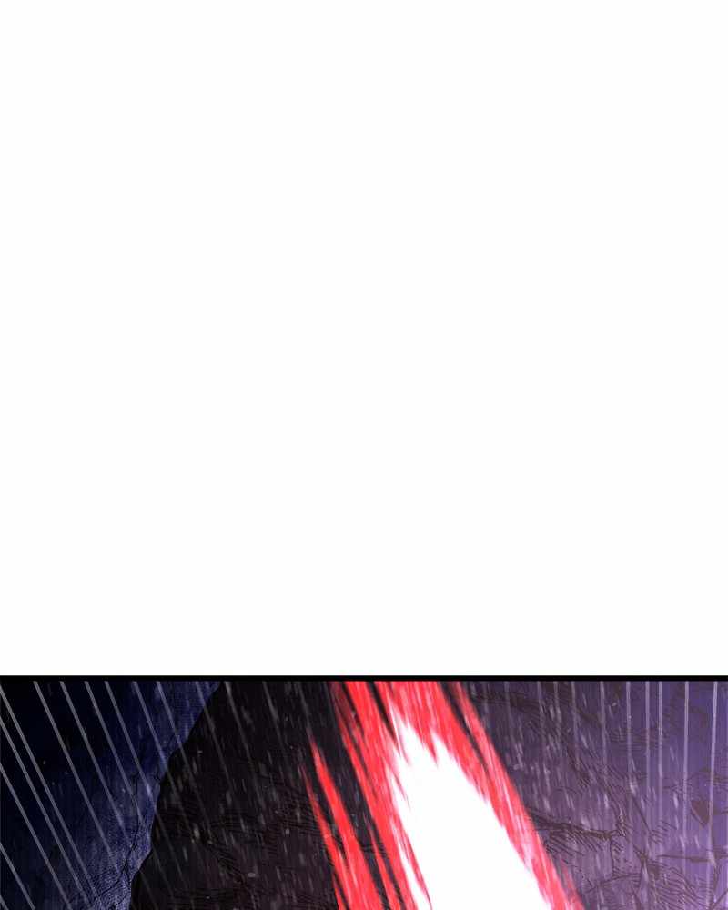 81