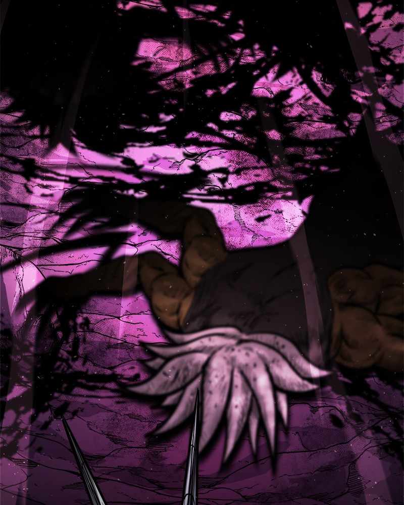 81