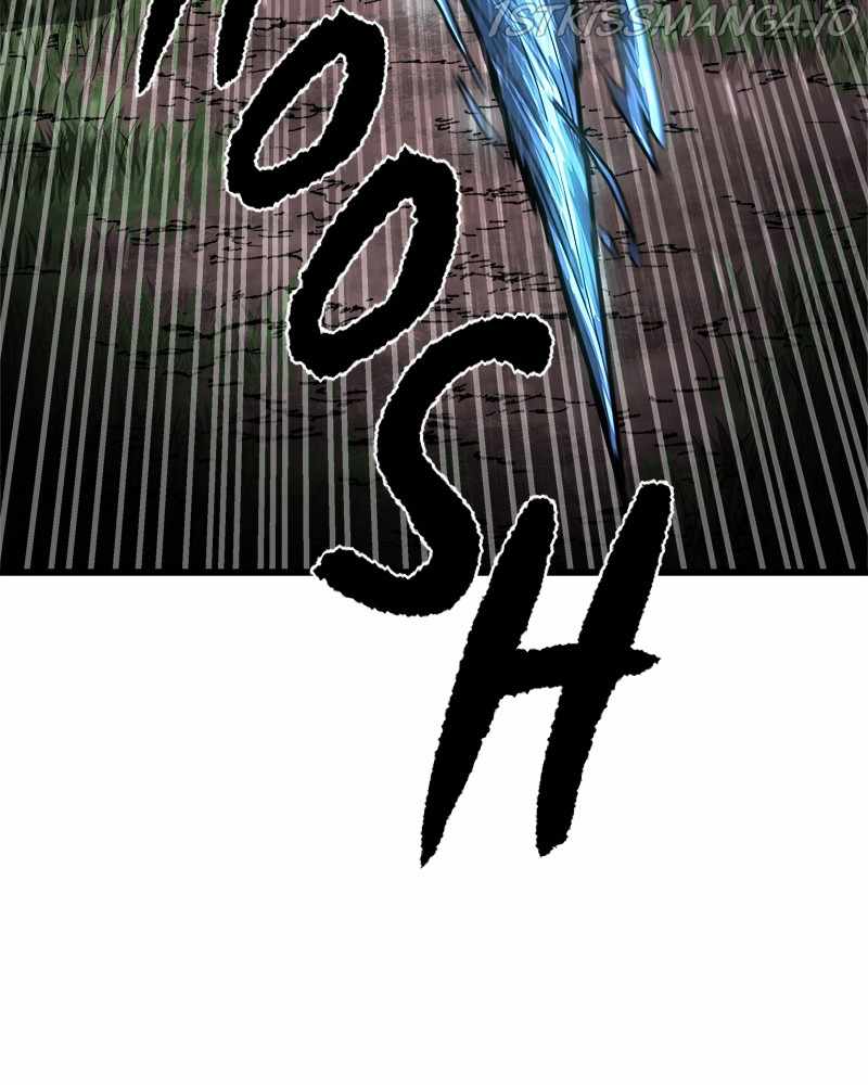 244
