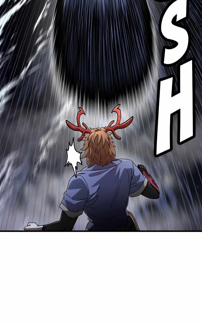 81