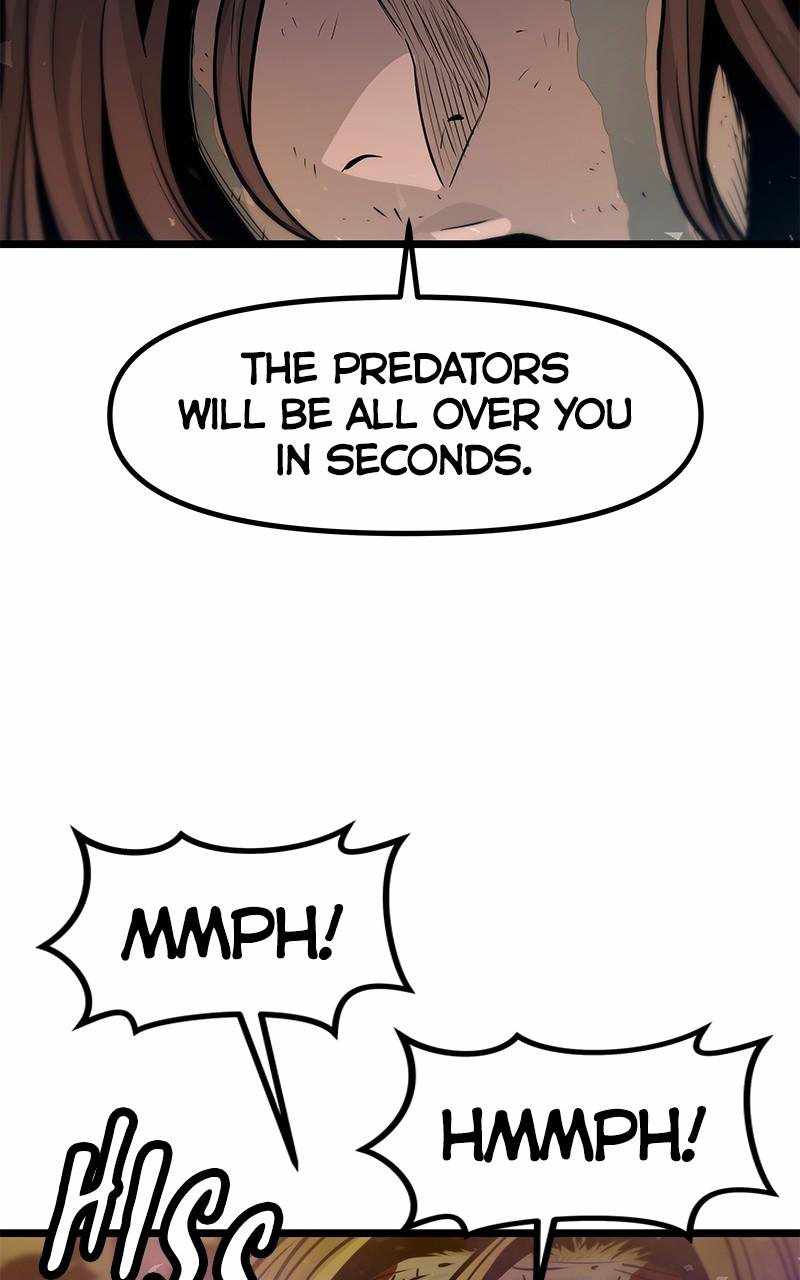 81