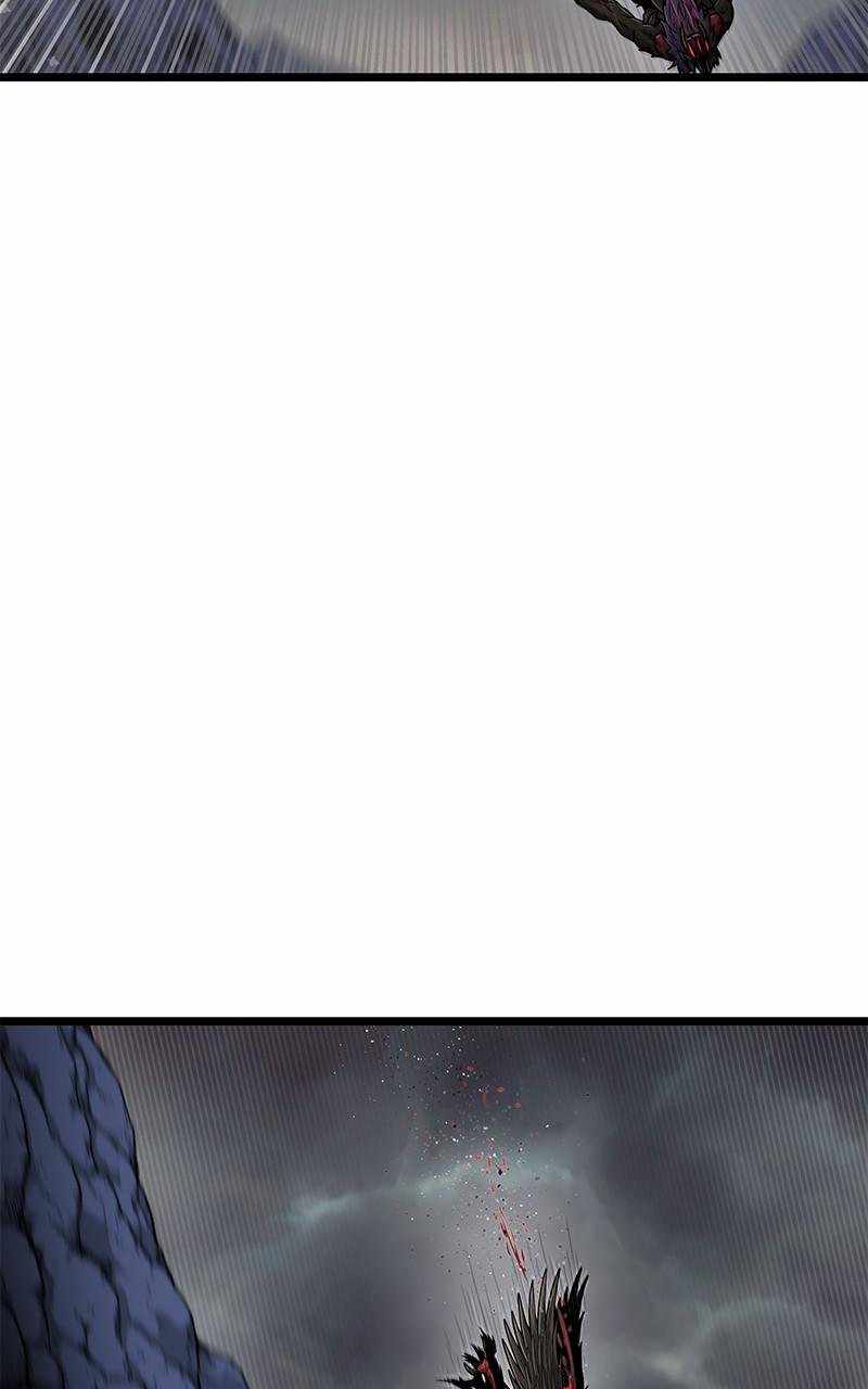 113