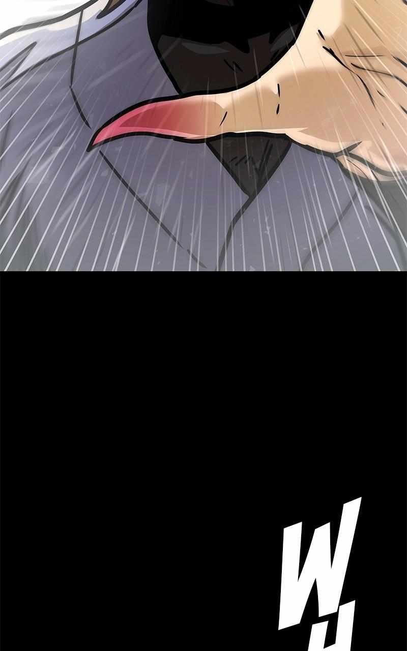 81