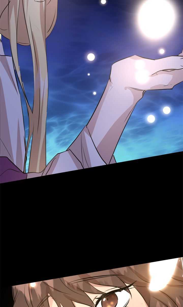 81