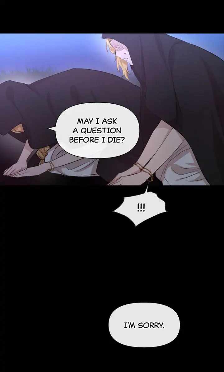 81