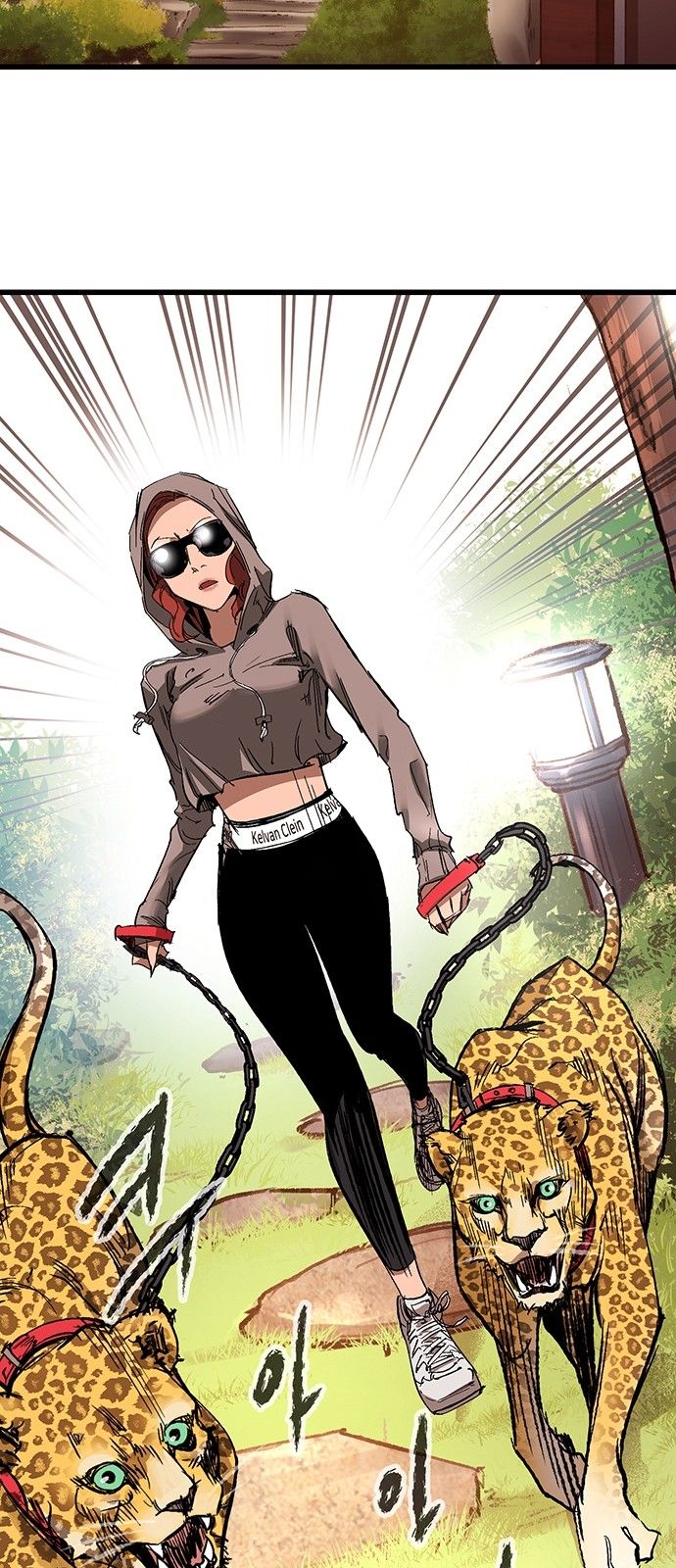 33