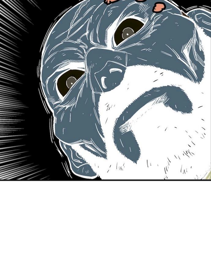 44
