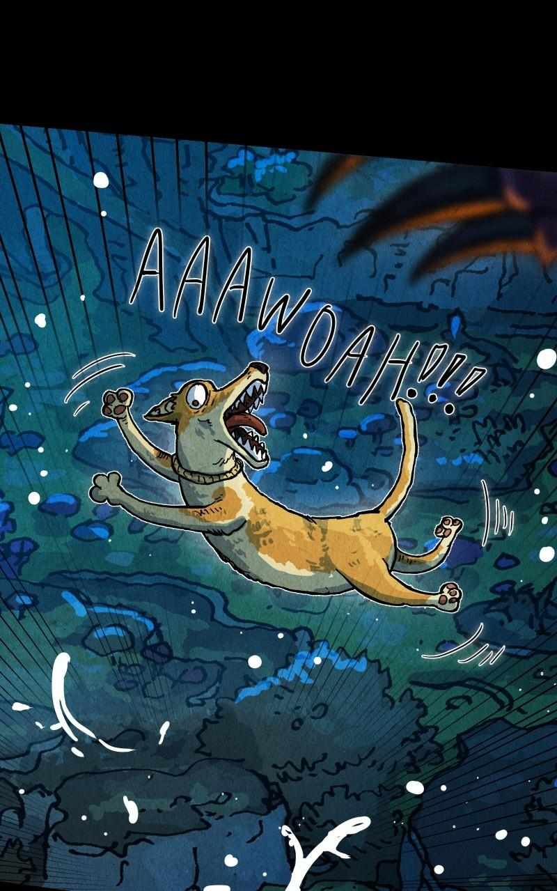 67