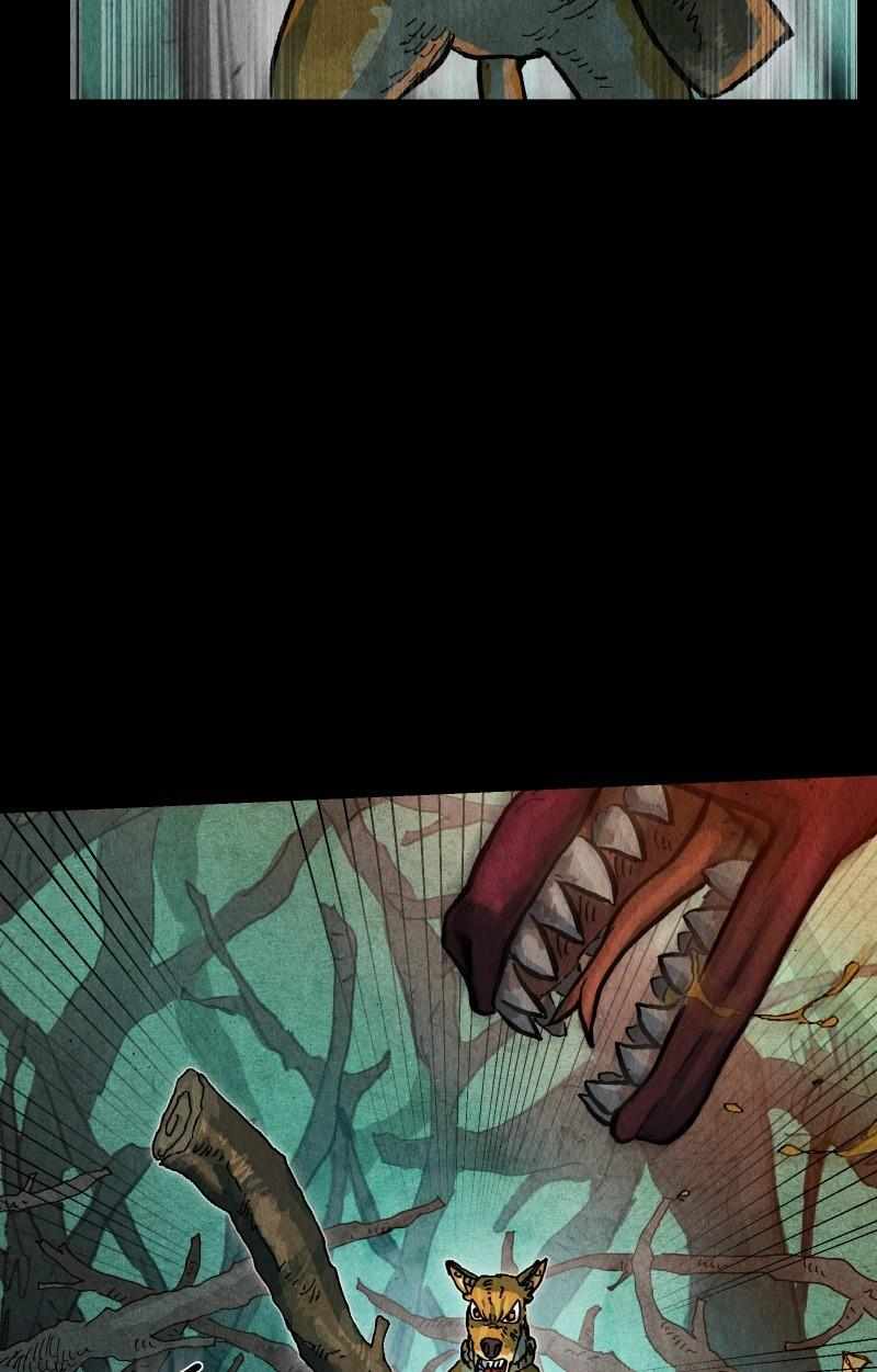 67
