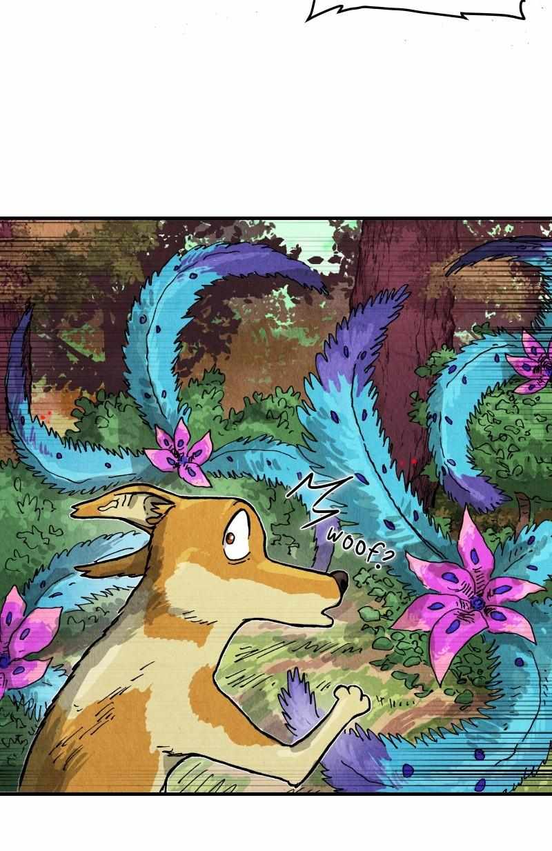 41