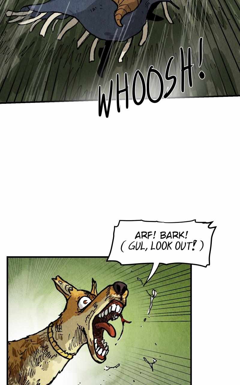 41