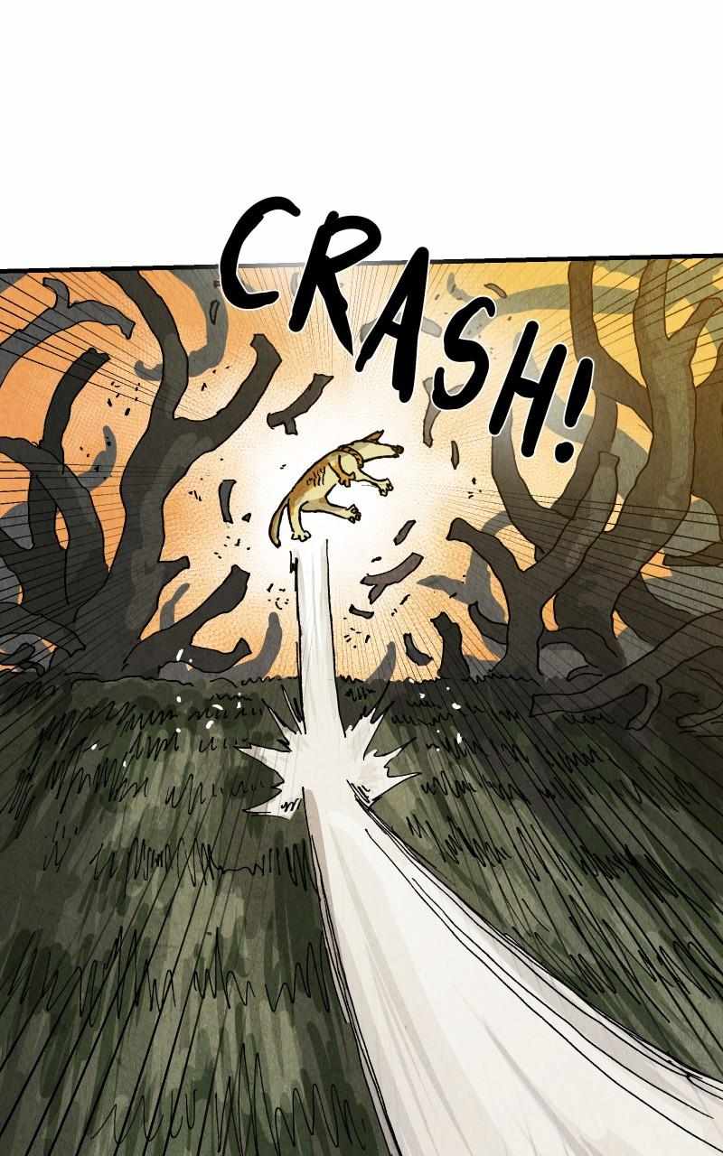 71