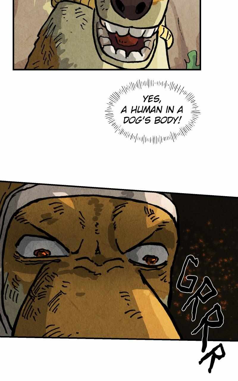 46