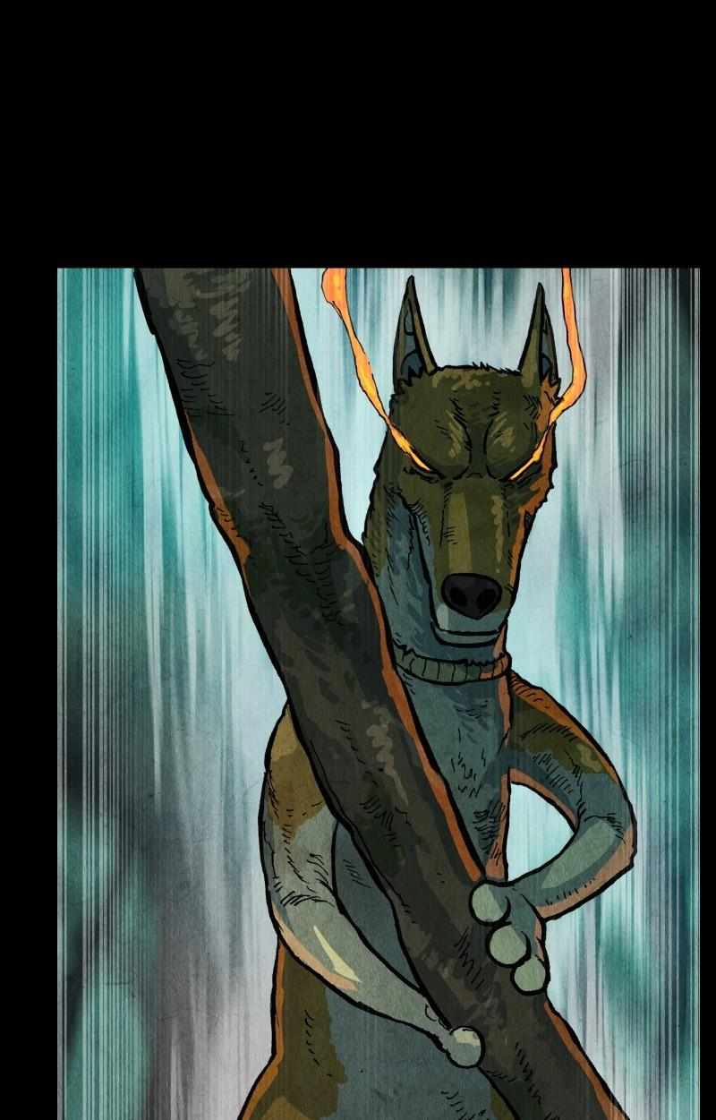 66