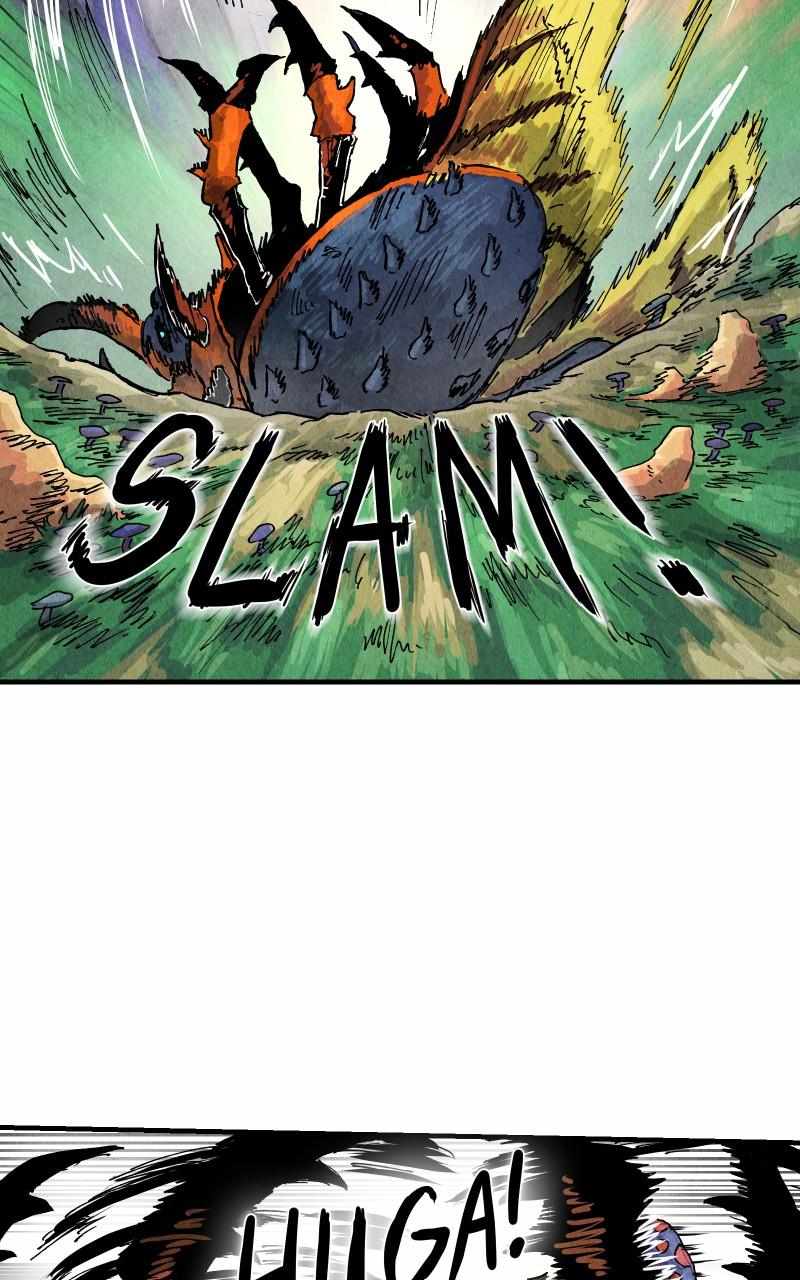 55