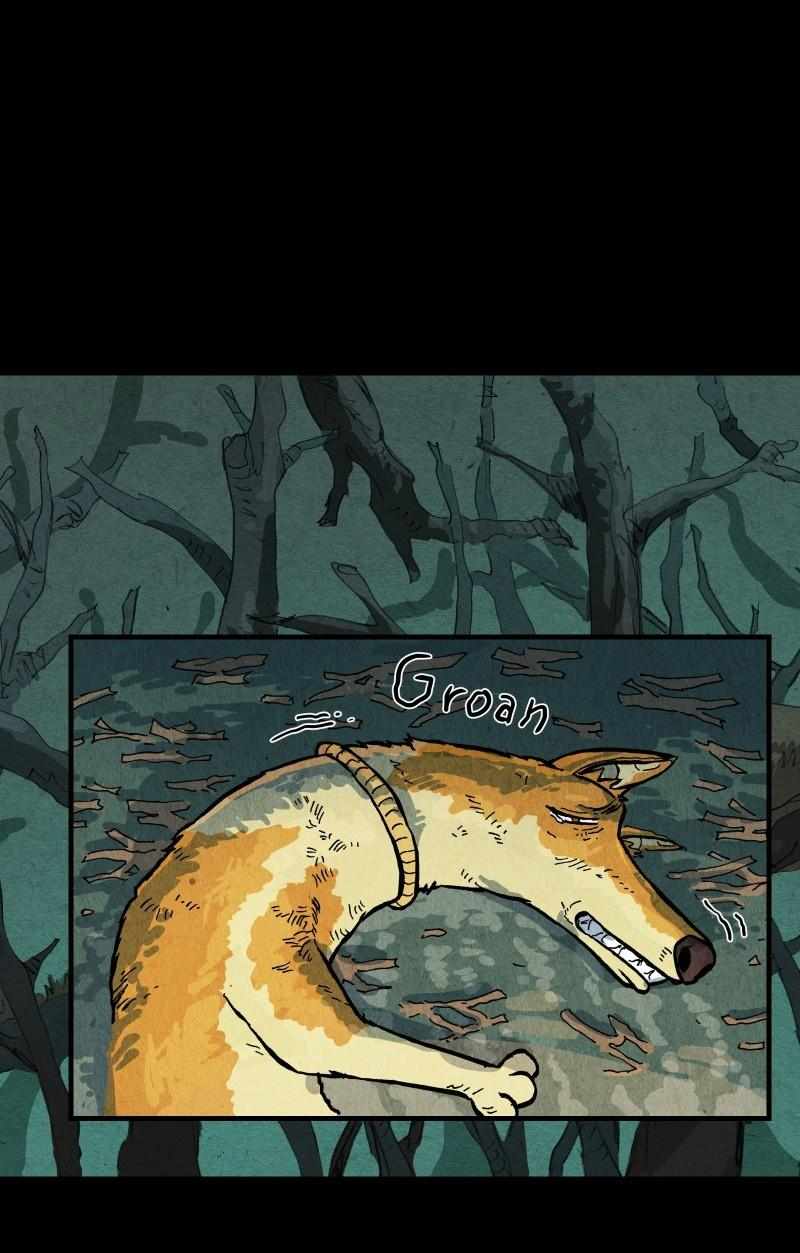 41