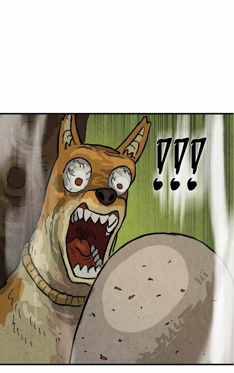 75
