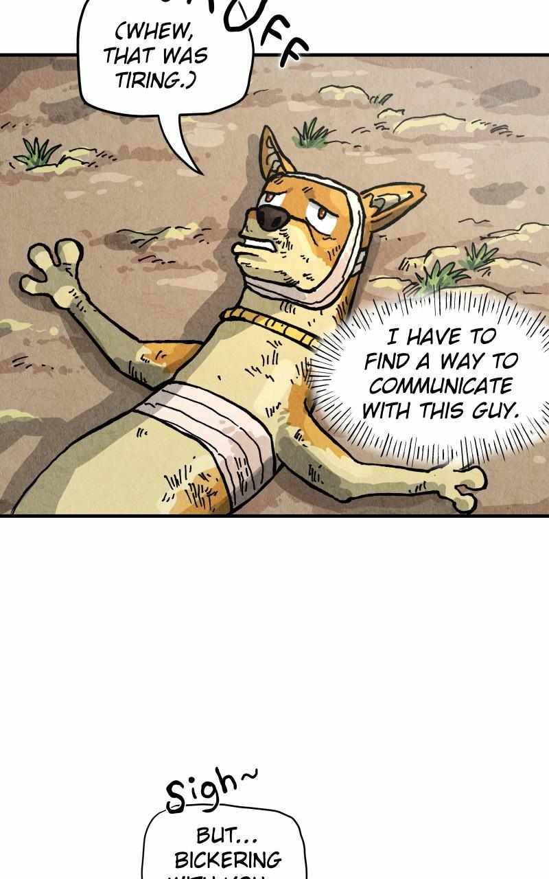 40