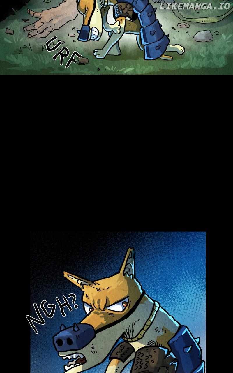 43