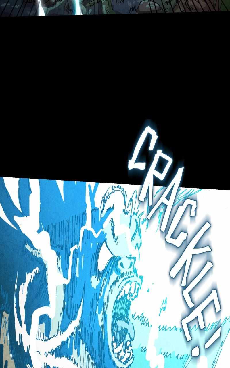 81