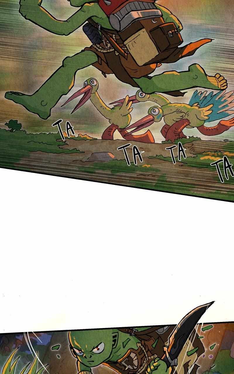 51