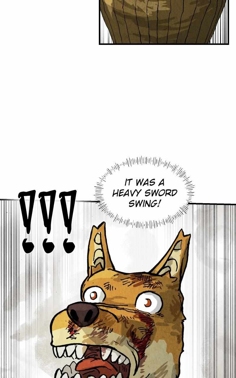 51
