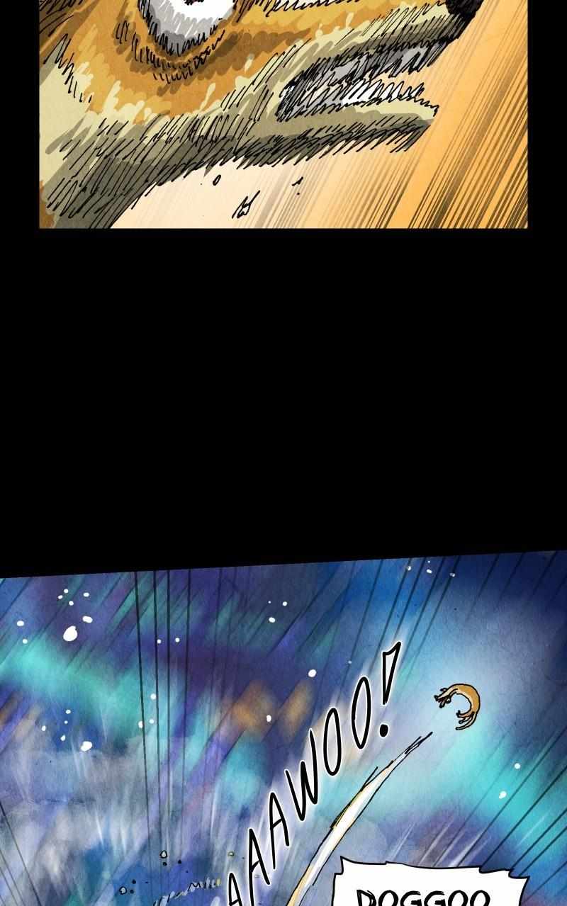 65