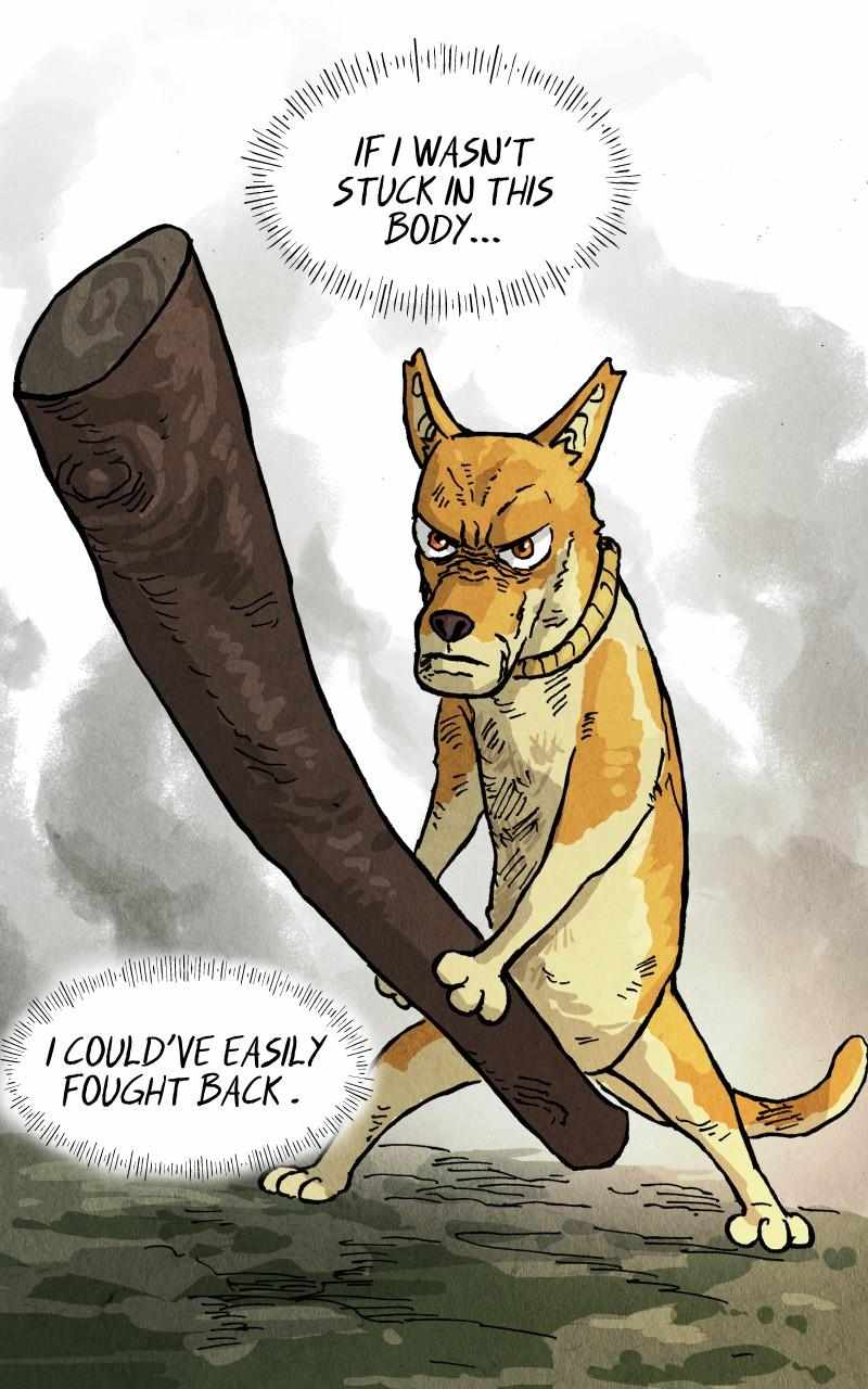 21