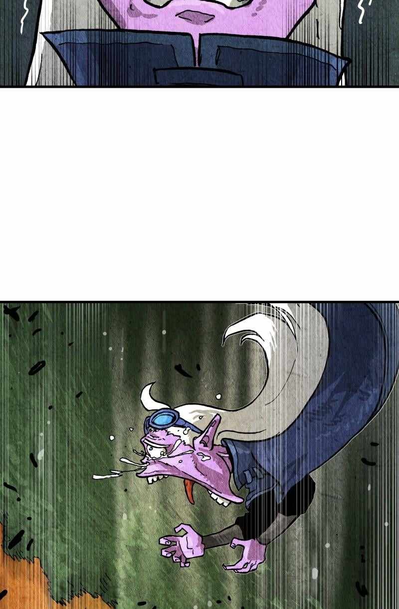 81