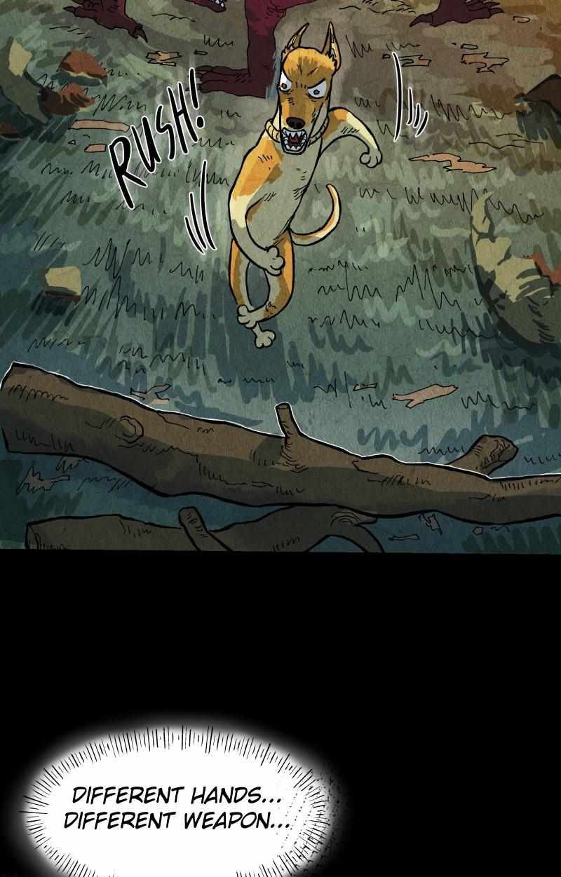61