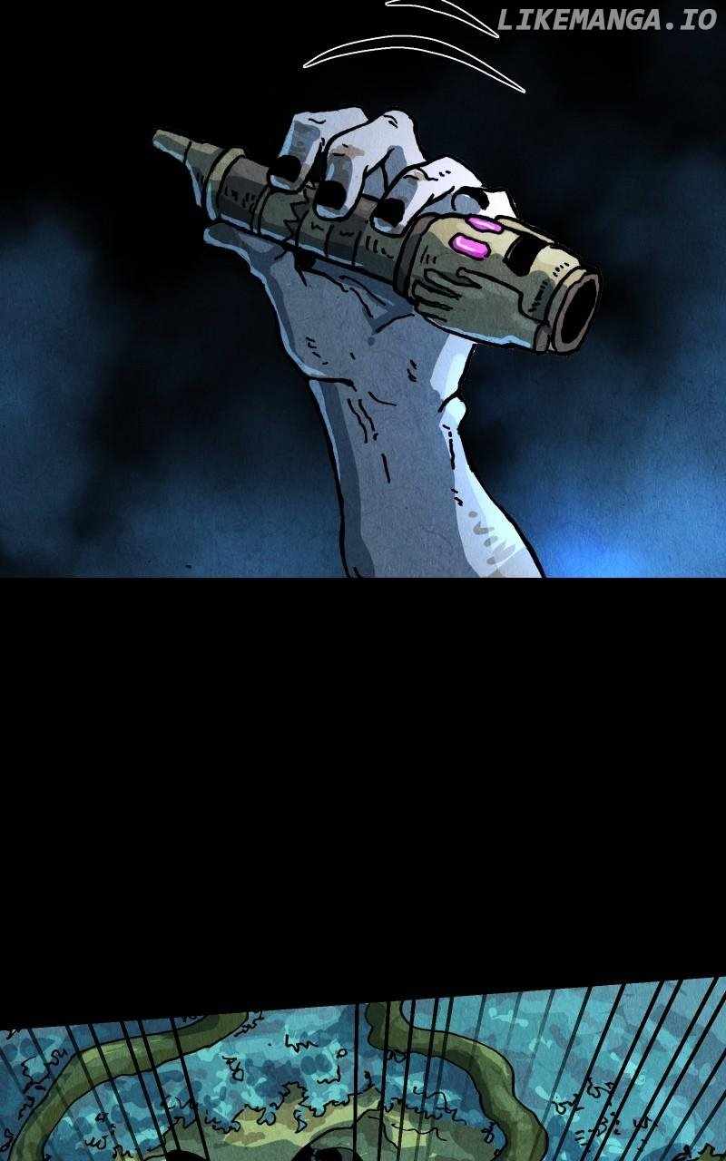 81